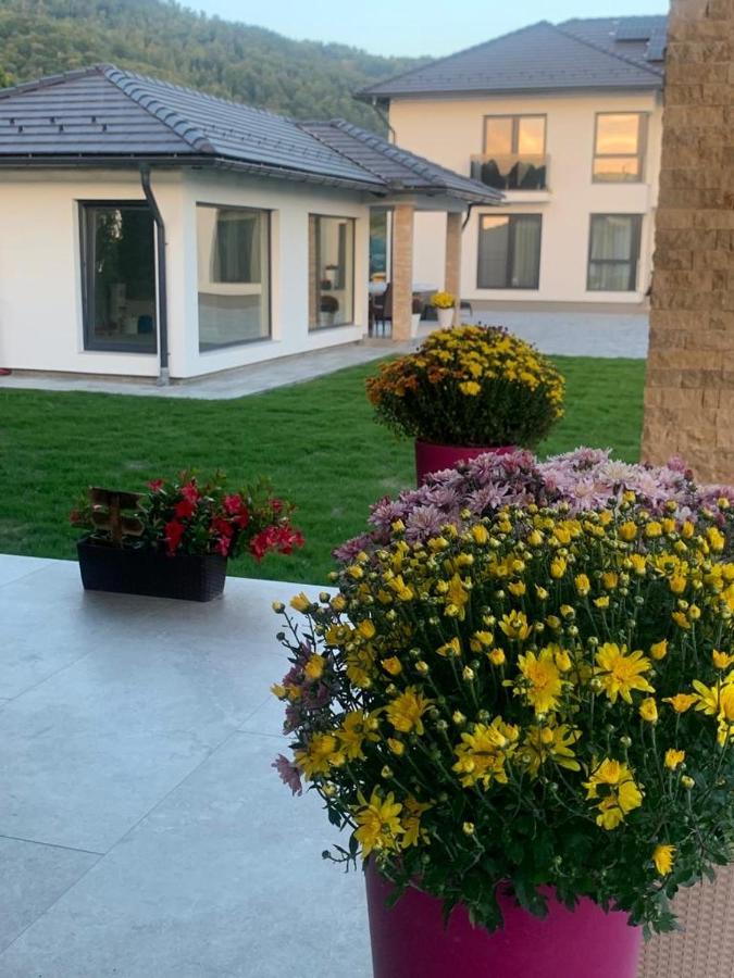 Vila Diamond Lux&Spa Sovata Zewnętrze zdjęcie