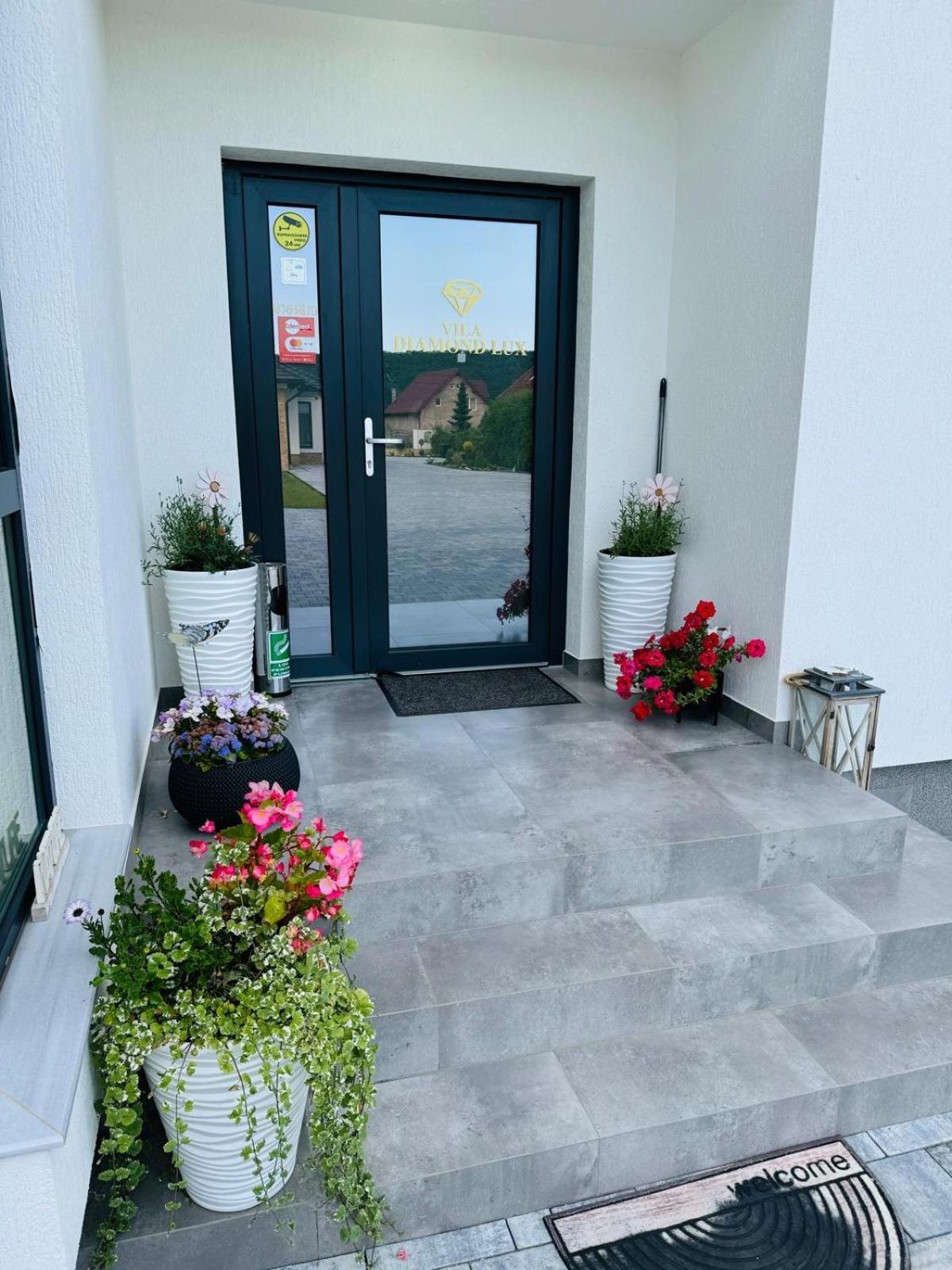 Vila Diamond Lux&Spa Sovata Zewnętrze zdjęcie